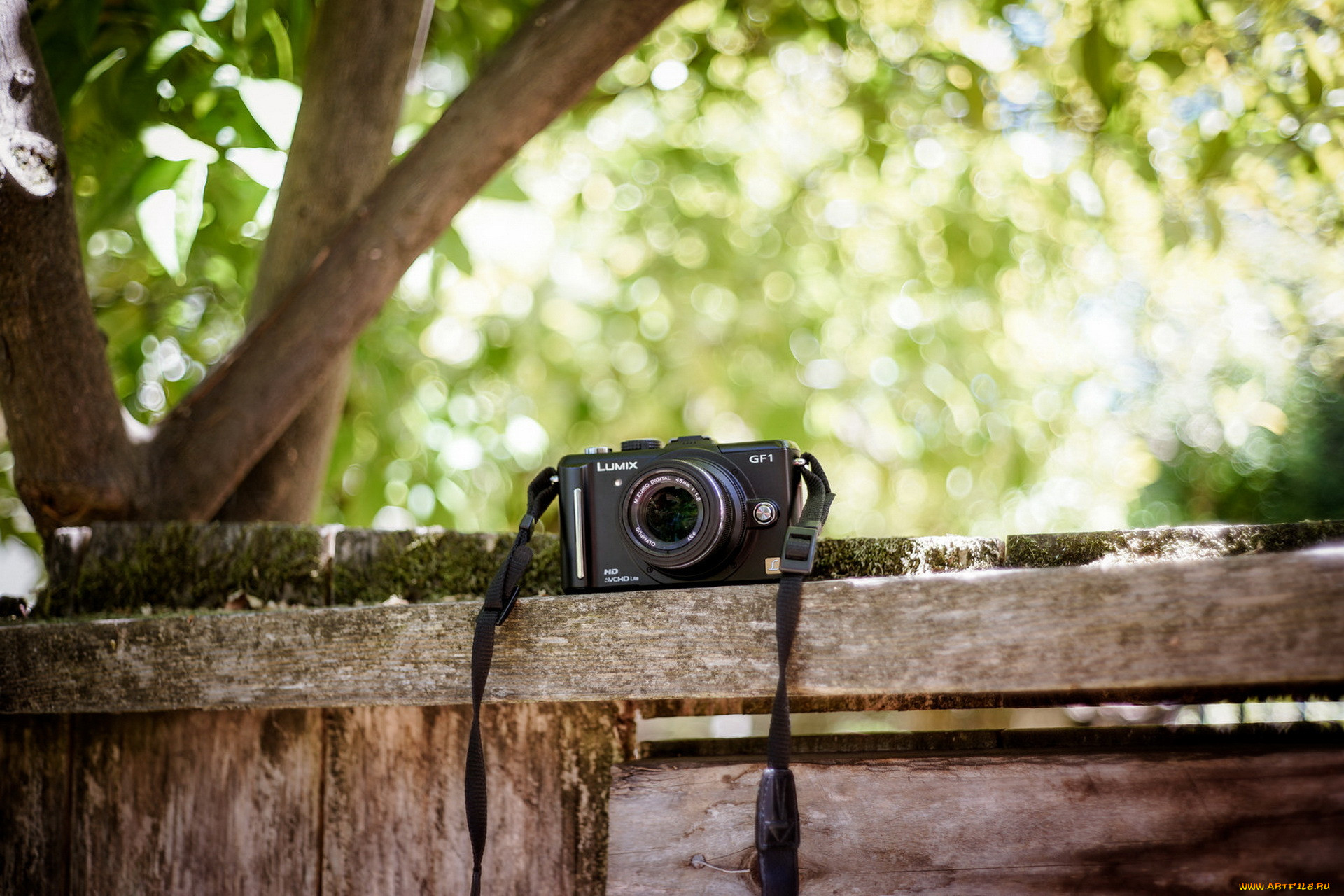Фотокамера в траве